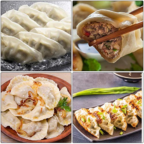 5 Pieces Stainless Steel Dumplings Maker, 2 Dumpling molds (9.5 cm, 7.5 cm) 3 Dumpling Skin Maker (9.5 cm, 8.5 cm, 7.5 cm) Chinese Dumpling Cutter Pie Ravioli Empanadas Press Mold Kitchen Accessories