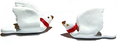 Amazon ルチカ ピアス Luccica 白鳩 鳥 アクセサリー レディース 人気 大人 ファルべ バード 空 コーデ ユニーク かわいい 可愛い ナチュラル ハト ネックレス 通販