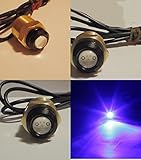 BLUE LED BOAT DRAIN PLUG LIGHT GARBOARD BRASS 1/2