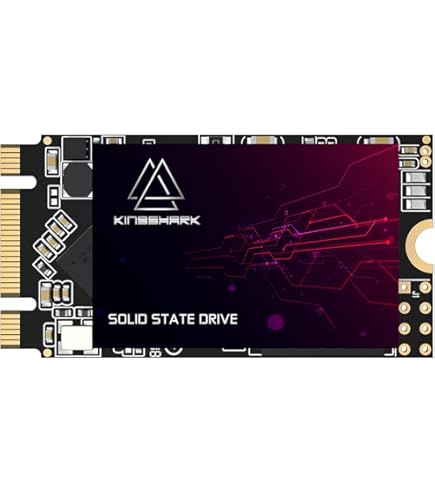 SHARK　SSD 120GB　M.2 2242 B Key Amazon.com: SSD SATA M.2 2242 500GB Shark Speed Ngff