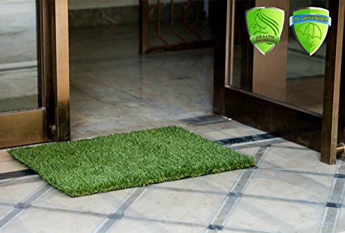 image for MTBRO Artificial Grass for Pet Potty Training and Replacement Puppy Gr