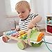 Skip Hop Giraffe Safari Crocodile Xylophone Pull Toy, Multi