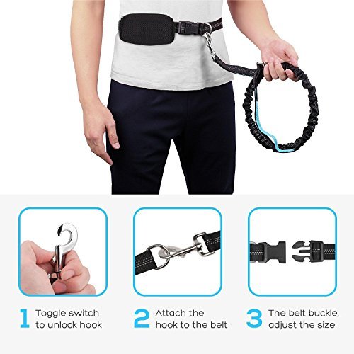 Pecute Hands Free Dog Leash Double Handle Leash with Zipper Pouch -Extendable Bungee with Reflective Stitching - Detachable Waist Belt up to 48” Waist - for Jogging, Running, Hiking (Black + Blue)