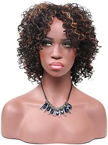 Secretgirl Short Afro Curly Wigs Synthetic African American Women Wigs Heat Resistant