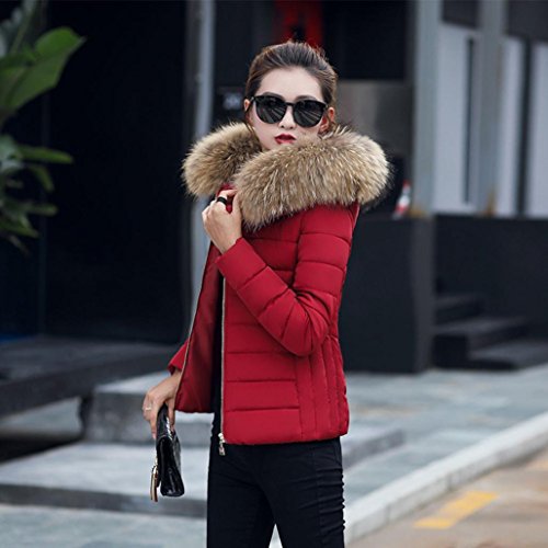 Tsmile Lady Short Coat Victorcn Fashion Solid Women Casual Thicker Winter Warm Slim Down Jacket Overcoat (2X-Large, Wine)