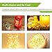 OxyLED OxyMas CL-01 Dimmable LED String Lights Wire Lights for Garden, Patio, Party, Indoor & Outdoor Decoration