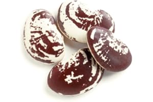 D'ALLESANDRO GOURMET D'Allesandro Heirloom Christmas Lima Beans, 10 lb Pack, Gourmet Large Lima Beans, Chestnut-Like Flavor, Flaky Texture, Ideal for Soups, Stews, Salads, Versatile for Professional Kitchens