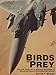 Birds of Prey: Aircraft, Nose Art & Mission Markings of Operation Desert Shield/Storm