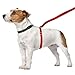 ThunderLeash No-Pull Dog Leash (Large (Over 25 lbs), Red)