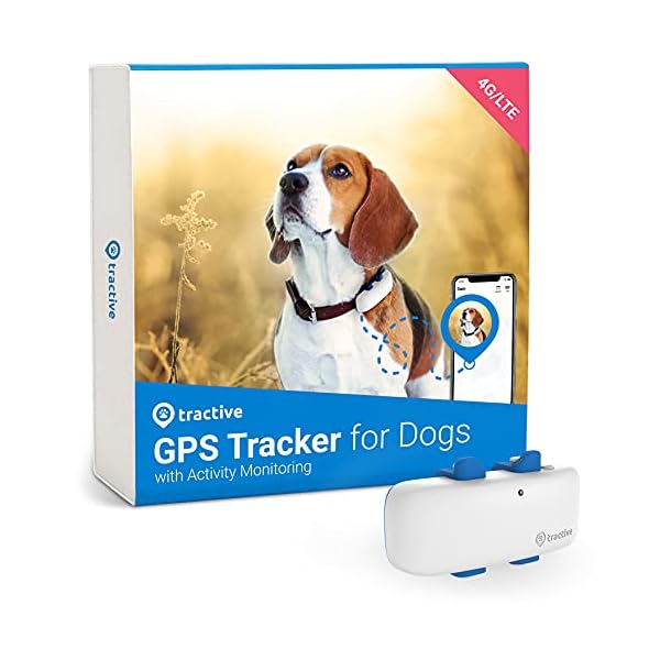Tractive-GPS-Dog-Tracker-2021-for-Dog-Collar-Always-Know-where-your-Dog-is-247-Location-and-Activity-Monitoring Tractive GPS Dog Tracker. Live Location With Unlimited Range. Escape Alerts & 100% Waterproof (White)