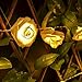 Avanti 20-Light LED Battery-Operated String Light Rose Flower Indoor Outdoor All Occasion Party Decor (Warm White)