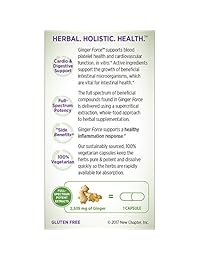 Nuevo Capítulo Gingerforce, 6041, 1