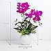 YILIYAJIA Artificial Flowers Orchids Table Decor Faux Flowers Arrangement with Vase Rustic Shelves Centerpieces Floral Decorations Realistic Phalaenopsis for Home Office Hotel Room