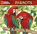 Parrots National Geographic 2016 Wall Calendar