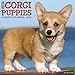 Just Corgi Puppies 2019 Wall Calendar (Dog Breed Calendar)