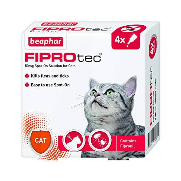Beaphar | FIPROtec Spot-On for Cats | Kills Fleas & Ticks | Vet Strength Treatment | 4 Pipettes
