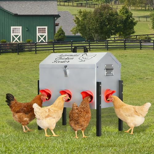 NEYCIL 50LB Automatic Chicken Feeder, Metal Chicken Feeder with Window, No-Waste Poultry Feeder with 8 Feeding Ports, Adjustable Height, Locking Lid & Weatherproof Design for Outdoor Coop