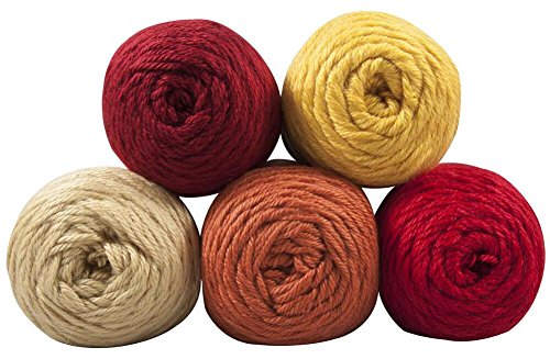 Caron Simply Soft Yarn Pack