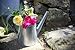 Ikea Socker 701.556.73 Galvanized Steel Watering Can, 9-Inch, 88 oz/2.6 Liter, Silver