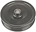 Dorman 300-029 Power Steering Pump Pulley Compatible with Select Ford Models
