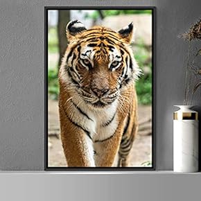 signwin Framed Canvas Wall Art Tiger Animals Chic...