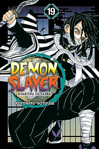 Amazon.com: Demon Slayer: Kimetsu no Yaiba, Vol. 9: Operation