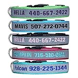 LovelyDog Embroidered Personalized Dog ID Collar, 4 Adjustable Sizes: Extra-Small, Small, Medium, Large with Dog Name Phone#, Reflective Pet Pink Dog Collars for Boy & Girl Dogs, X XS M L XL