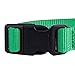 Blueberry Pet Essentials Small Dog Collar | Boy Dog Collars Fall | Male Dog Collar Small | Emerald Dog Collars for Small Dogs | Quick Release Dog Collar | Emerald Nylon Dog Collar
