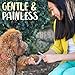 Bona Fide Beauty Pet Nail File Made of Czech Glass, Quiet and Painless Pet Nail Filer for Small Dogs, Cats, Birds, and Rabbits