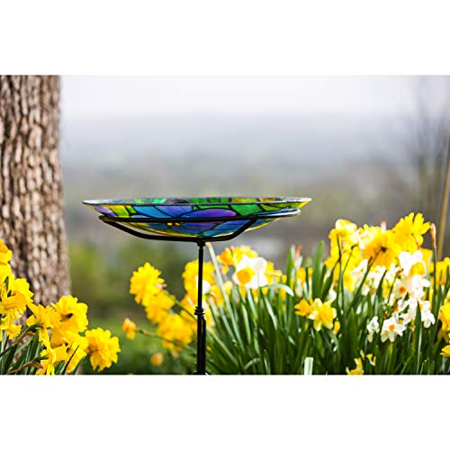 Evergreen Garden Art Nouveau Butterfly 18 inch Glass Bird Bath Bowl