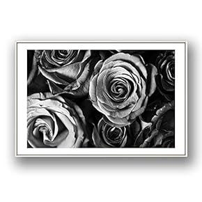 Framed for Living Room Bedroom Grey Rose Flowers for