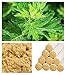 50:1 High Purity Golden Moxa Sticks, Tens Years Chen Superior Moxa Rolls Pure for Mild Moxibustion Heat Treatment-10 pics