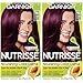 Garnier Hair Color Nutrisse Nourishing Creme, 362 Darkest Berry Burgundy (Raspberry Jam) Red Permanent Hair Dye, 2 Count (Packaging May Vary)