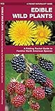 Edible Wild Plants: A Folding Pocket Guide to Familiar North American Species (Outdoor Skills and Preparedness)