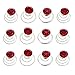 Newstarfactory Gorgeous Rhinestones Hair Spirals Clips Pack of One Dozen (Red)