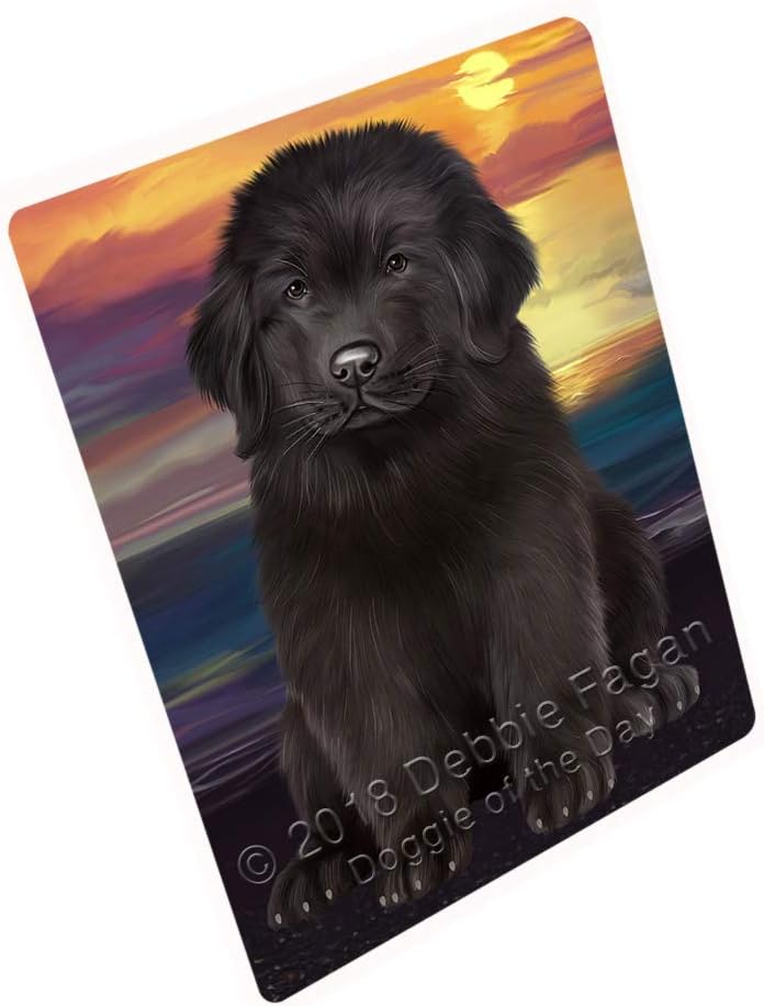 best dog dryer for newfoundland