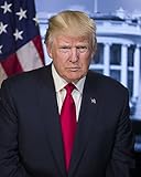 First Presidential Photo of President Donald J. Trump, 45th President of the USA 8x10 Photo