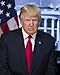 First Presidential Photo of President Donald J. Trump, 45th President of the USA 8x10 Photo
