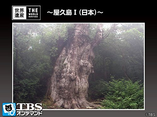Amazon.co.jp: 世界遺産~屋久島I(日本)~【TBSオンデマンド】を観る