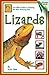 Lizards: Beginning Vivarium Systems by Russ Case
