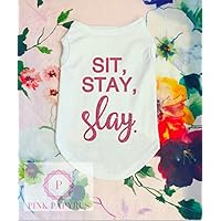Sit Stay Slay Dog Shirt