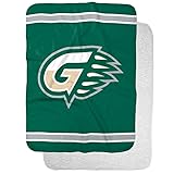 Georgia Gwinnett College Grizzlies Primary Logo