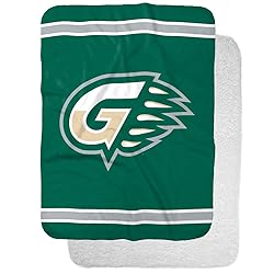 Georgia Gwinnett College Grizzlies Primary Logo