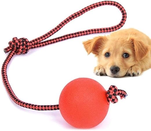 pets at home dog balls