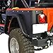 Paramount Restyling 51-0208 Black Rear Fender Flare (Jeep Wrangler CJ)
