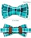 TagME Breakaway Cat Collar, Cat Safety Collar with Cute Bow Tie & Bell, Plaid Design Adjustable for Kitty 1 Pack, Teal