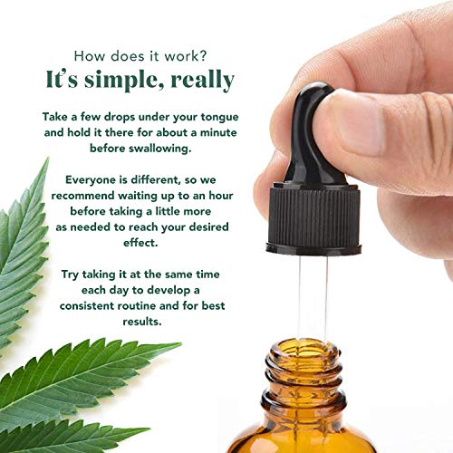 (2 Pack) Organic Hemp Oil Extract for Pain Relief and Sleep, 25000mg of Organic Hemp Extract for Natural Pain Relief by Herb Revolution - 100% Natural Relax Hemp Drops, Peppermint - 1 oz Per Bottle