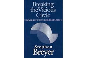 Breaking the Vicious Circle: Toward Effective Risk Regulation