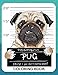 Pug Coloring Book: A Dog Fun and Beautiful Pages for Stress Relieving Unique Design by Rocket Publishing