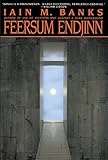 Feersum Endjinn: A Novel cover